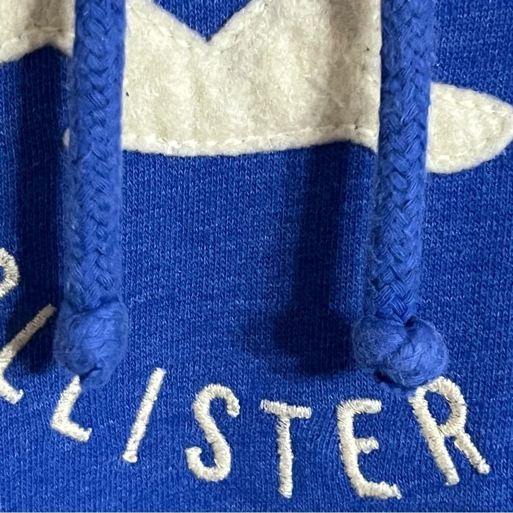 Hollister‎ Pullover Sweatshirt Bird Graphic Print Women’s Size Medium Blue